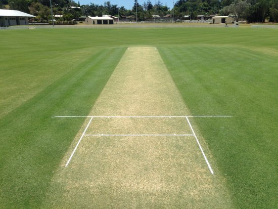 green-cricket-pitch