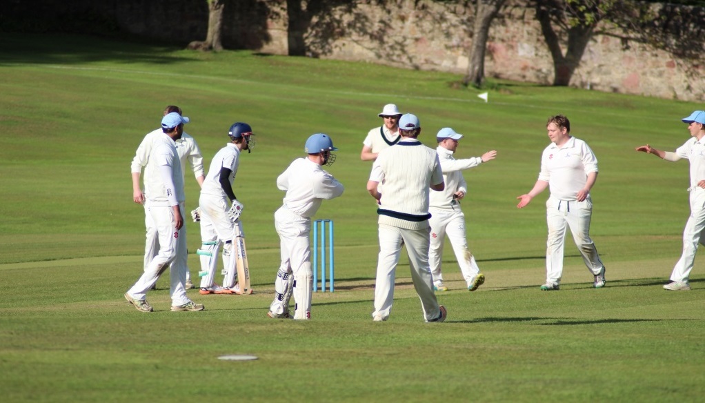 cricket-celebration